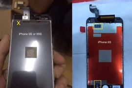 Những hình ảnh rò rỉ đầu tiên của iPhone SE