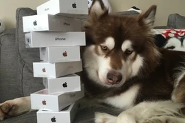 Mua iPhone 7 để tặng thú cưng