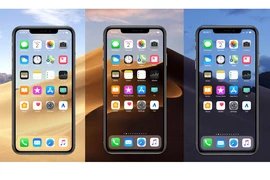 Cách cài đặt sớm iOS 13 Beta trên iPhone