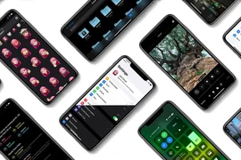 Cập nhật ngay iOS 13.2 để chụp ảnh đẹp hơn