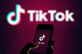 2 cách bảo mật tài khoản TikTok ít người biết