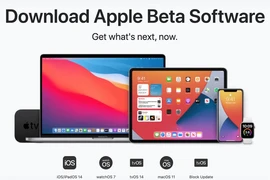 Cách cài đặt iOS 14 beta không cần tài khoản nhà phát triển