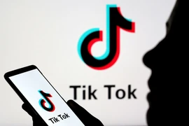 VNG yêu cầu TikTok bồi thường 221 tỉ đồng vì vi phạm bản quyền