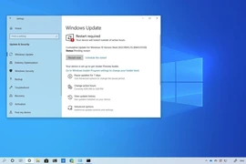 Người dùng Windows cần cập nhật phần mềm ngay lập tức