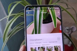 3 ứng dụng không thể thiếu với những người yêu cây cảnh