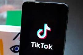 Điểm mặt các xu hướng hàng đầu trên TikTok tháng 01-2022