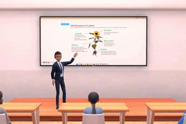 Nở rộ việc học tập và giảng dạy trong thế giới ảo