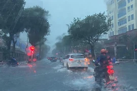 Hải Hiếu
