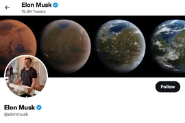 Twitter bán ‘tích xanh’ 20 USD sau khi được Elon Musk mua lại?