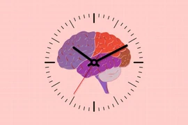 điều gì xảy ra với bộ não khi bạn già đi