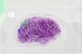 Tin công nghệ 2-12: "Brain Rot" được Oxford University Press chọn là từ của năm 2024