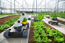 Làm nông nghiệp xanh nhờ robot thông minh và AI