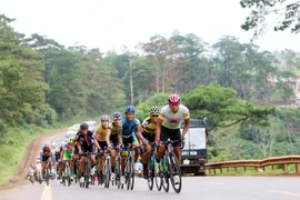 Gần nửa đội hình Lộc Trời bỏ cuộc giải VTV Cup