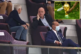 World Cup hai năm một lần, kẻ gật người lắc