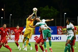 Truyền thông xứ Hàn cổ vũ Việt Nam đấu chung kết với Indonesia