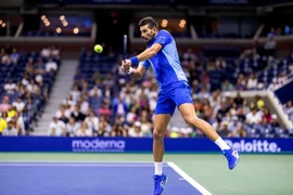 Murray: Djokovic sẽ thống trị quần vợt thêm nhiều năm