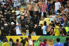 FIFA điều tra vụ hỗn chiến ở vòng loại World Cup