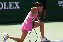 Sabalenka vẫn thi đấu sau cái chết của bạn trai