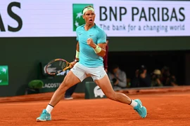 Djokovic tin Nadal sẽ quay lại Pháp mở rộng mùa sau