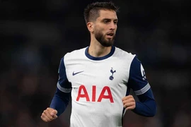 Spurs phản đối án treo giò 7 trận hà khắc của FA