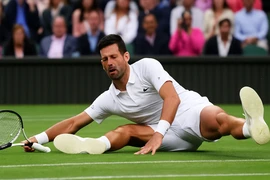 Djokovic lập kỷ lục 14 lần và thử thách mang tên Jannik Sinner