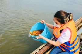 Video: Nhiều người thả cá phóng sinh nhân ngày đưa ông Táo về trời