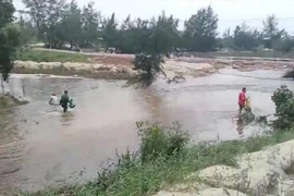 Video: Người dân mất trắng hơn 32 tấn cá lóc vì mưa lũ ở Quảng Bình