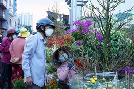 Video: Tham quan Chợ hoa xuân ‘Trên bến dưới thuyền’ ngày khai mạc