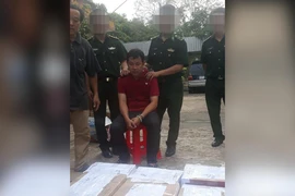Bắt đối tượng giấu ma túy trong 57 túi đựng trà