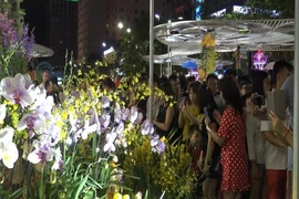 Cận cảnh đông đảo người đến xem đường hoa Canh Tý