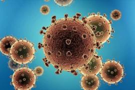 Dịch Corona: Lý do đặt tên virus là COVID-19