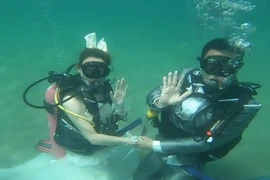 Lên trời xuống biển để tổ chức cưới ngày 14-2