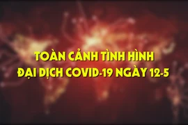 Toàn cảnh tình hình đại dịch COVID-19 ngày 12-5 