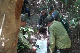Tháo gỡ hàng ngàn bẫy thú ở rừng Sơn Trà