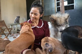 Video: Dành cả thanh xuân để chăm sóc chó, mèo