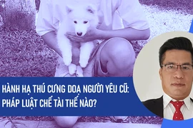 Video: Hành hạ thú cưng doạ người yêu cũ: Pháp luật chế tài thế nào?