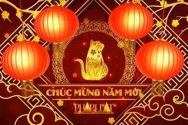 ‘Cuộc gặp bất ngờ’ trên PLO: Các tổng lãnh sự chúc Tết người dân Việt Nam