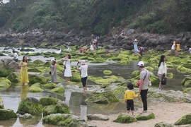 Video: Bãi rêu Nam Ô vương vãi rác thải