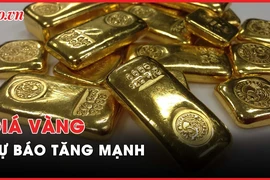 Nóng hôm nay: Cựu Chủ tịch Louis Holdings bị phạt 5 năm 6 tháng tù
