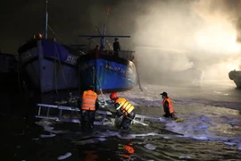 Video: Cháy nhiều tàu cá trong đêm trên vịnh Mân Quang