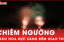 Video: Rực rỡ pháo hoa chào năm mới Ất Tỵ 2025 trên cả nước