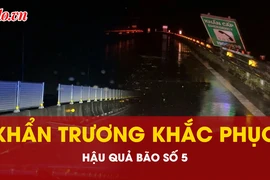 Tuyến cao tốc Bắc Nam qua địa phận Thanh Hoá - Hà Tĩnh đã thông