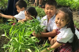 TP.HCM: 9 trường học nào theo mô hình tiên tiến?