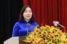 Bà Trương Thị Bích Hạnh ứng cử ĐBQH khóa XVI tại đơn vị bầu cử số 3