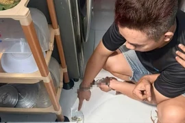 Truy xét xuyên đêm, bắt kẻ cướp giật dây chuyền 3 chỉ vàng của cụ bà ở TP.HCM