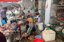 TP.HCM: Kiểm tra 12 điểm giết mổ gia cầm tự phát tại phường Dĩ An
