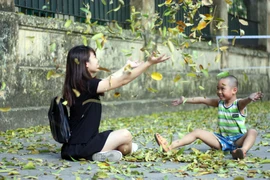Đẹp mê say những con phố thủ đô ngập lá vàng
