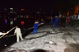 Hà Nội vớt nhiều tấn cá chết trong đêm