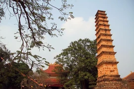 Tận mắt chiêm ngưỡng bảo tháp đẹp nhất xứ Bắc
