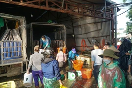 Cá chép đỏ đắt gấp 10 lần năm ngoái nhưng vẫn ‘cháy hàng’ 